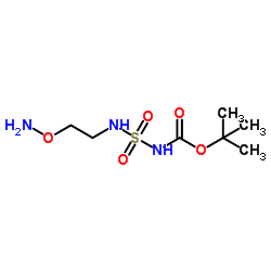 Suministro N - [[[2- (Aminooxi) etil] amino] sulfonil] carbámico éster 1,1-dimetiletílico CAS:1452466-39-5