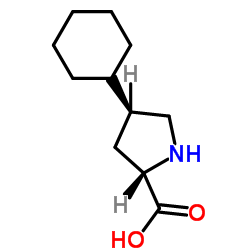 Suministro trans-4-ciclohexil-L-prolina CAS:103201-78-1