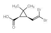 Suministro Ácido (1R-cis) -3- (2,2-dibromoetenil) -2,2-dimetilciclopropano carboxílico CAS:53179-78-5