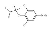 Suministro 3,5-dicloro-4- (1,1,2,2-tetrafluoroetoxi) anilina CAS:104147-32-2