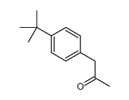 Suministro 1- (4-terc-butilfenil) propan-2-ona CAS:81561-77-5