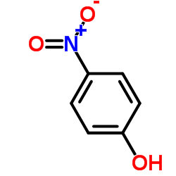 Suministro 4-nitrofenol CAS:100-02-7