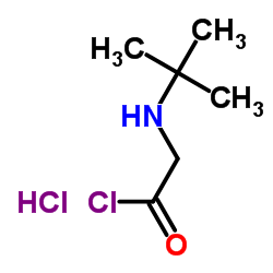 Suministro Cloruro de 2- (terc-butilamino) acetilo, hidrocloruro CAS:915725-52-9