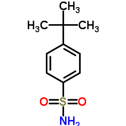 Suministro 4-terc-butilbencenosulfonamida CAS:6292-59-7