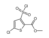 Suministro 5-cloro-3- (clorosulfonil) -tiofeno-2-carboxilato de metilo CAS:126910-68-7
