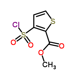 Suministro 3-clorosulfoniltiofeno-2-carboxilato de metilo CAS:59337-92-7