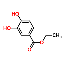 Suministro 3,4-dihidroxibenzoato de etilo CAS:3943-89-3