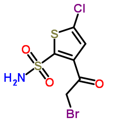 Suministro 3- (2-bromoacetil) -5-clorotiofeno-2-sulfonamida CAS:160982-11-6