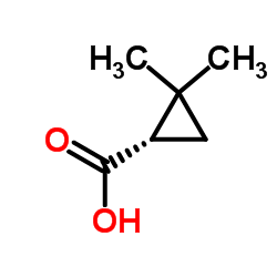 Suministro Ácido (S) -2,2-dimetilciclopropanocarboxílico CAS:14590-53-5