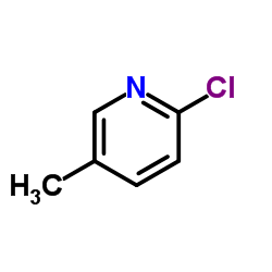 Suministro 2-cloro-5-metilpiridina CAS:18368-64-4