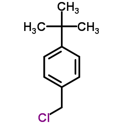 Suministro 1-terc-butil-4- (clorometil) benceno CAS:19692-45-6