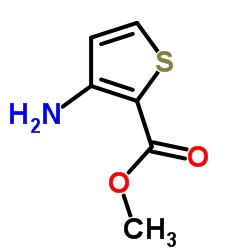 Suministro 3-aminotiofeno-2-carboxilato de metilo CAS:22288-78-4