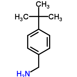 Suministro 4-terc-butilbencilamina CAS:39895-55-1