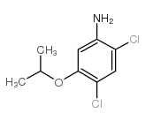 Suministro 2,4-dicloro-5-isopropoxianilina CAS:41200-96-8