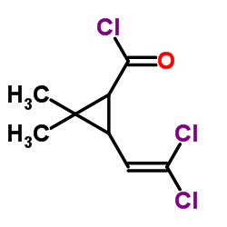 Suministro Cloruro de 3- (2,2-dicloroetenil) -2,2-dimetilciclopropano-1-carbonilo CAS:52314-67-7