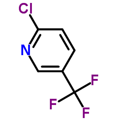 Suministro 2-cloro-5-trifluorometilpiridina CAS:52334-81-3