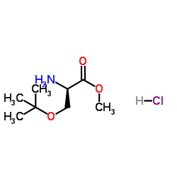 Suministro Clorhidrato de éster metílico de O-terc-butil-D-serina CAS:78537-14-1