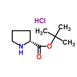 Suministro Clorhidrato de terc-butil éster D-prolina CAS:184719-80-0