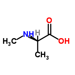 Suministro N-metil-D-alanina CAS:29475-64-7