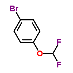 Suministro 1-bromo-4- (difluorometoxi) benceno CAS:5905-69-1