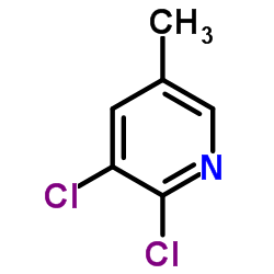 Suministro 2,3-dicloro-5-picolina CAS:59782-90-0
