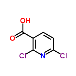 Suministro Ácido 2,6-dicloronicotínico CAS:38496-18-3