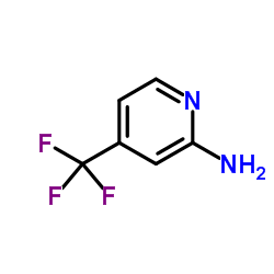 Suministro 2-amino-4- (trifluorometil) piridina CAS:106447-97-6