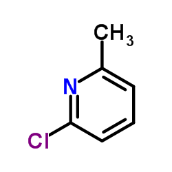 Suministro 6-cloro-2-picolina CAS:18368-63-3