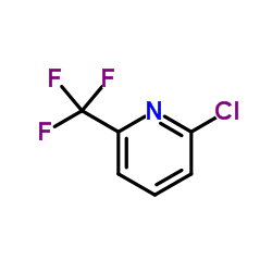 Suministro 2-cloro-6- (trifluorometil) piridina CAS:39890-95-4