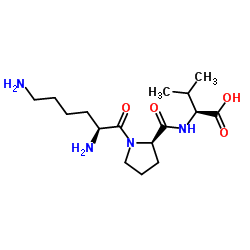 Suministro Ácido (S) -2 - ((R) -1 - ((S) -2,6-diaminohexanoil) pirrolidina-2-carboxamido) -3-metilbutanoico CAS:125905-17-1
