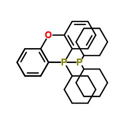 Suministro diciclohexil- [2- (2-diciclohexilfosfenilfenoxi) fenil] fosfano CAS:434336-16-0
